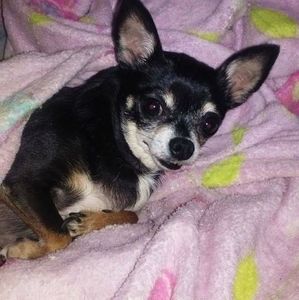 Meet your Posher, Rhonda